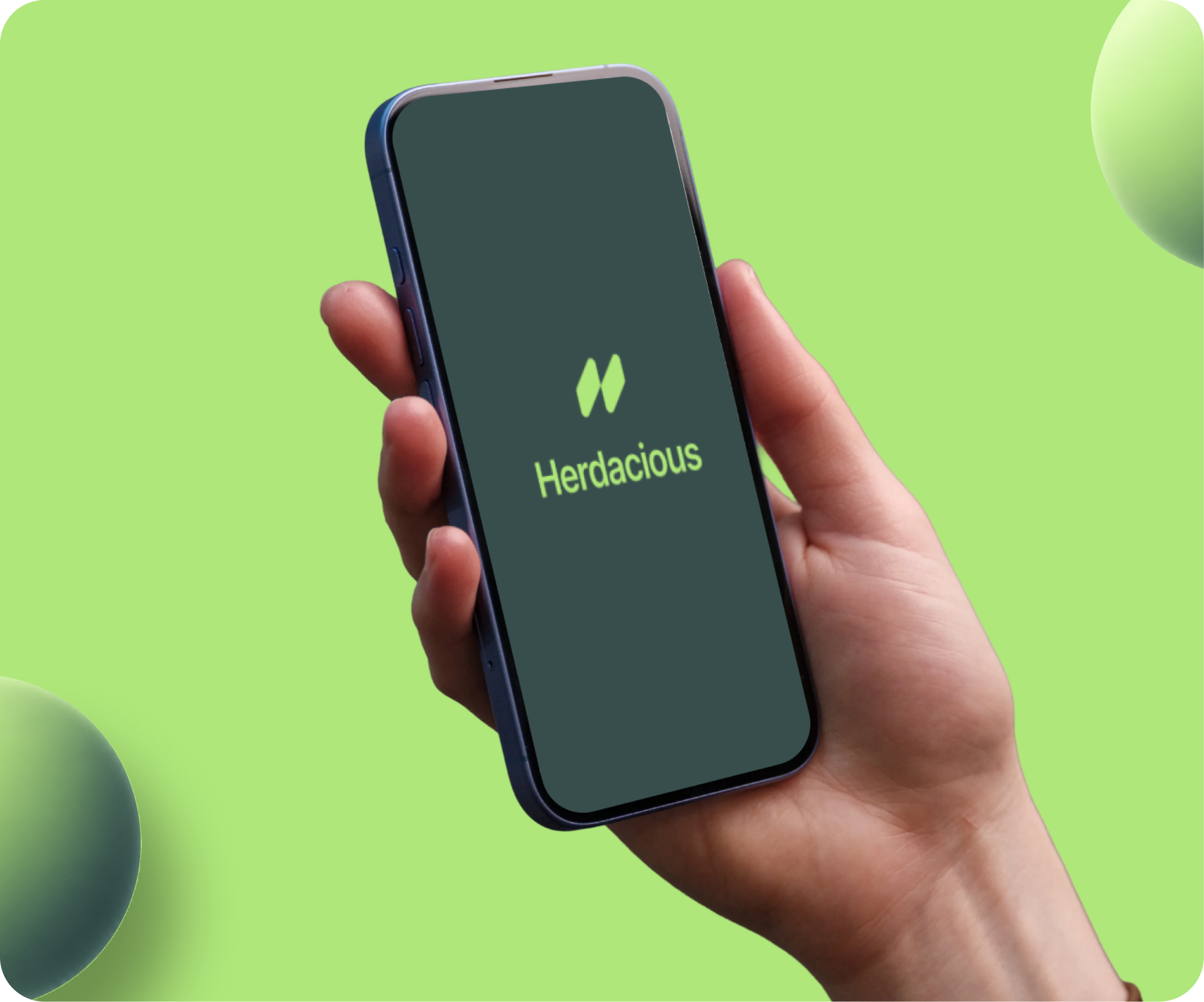 Herdacious Box 4